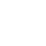 Dreamin' Corporation