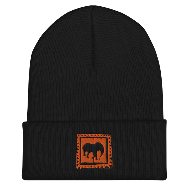 Orange Dream Cuffed Beanie