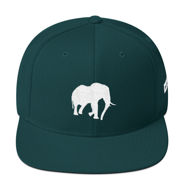 Mammoth Spurse Snapback