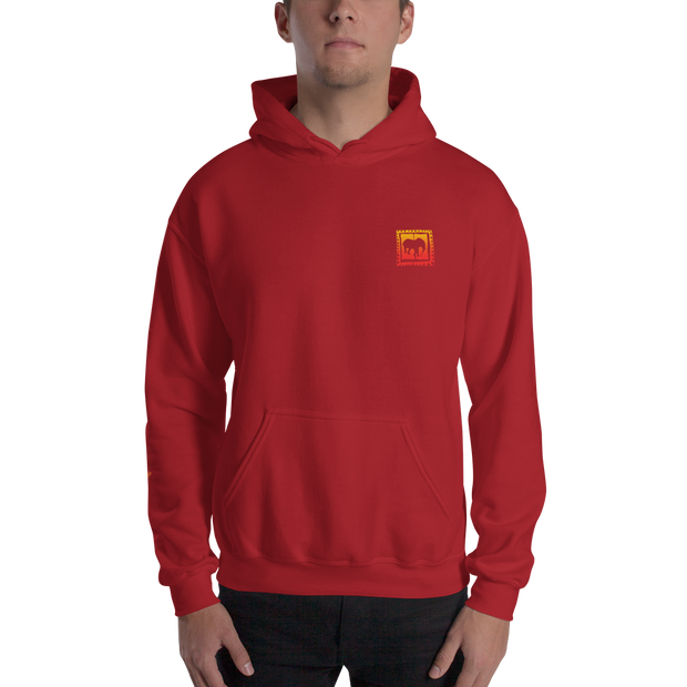 D' Gradient Hoodie
