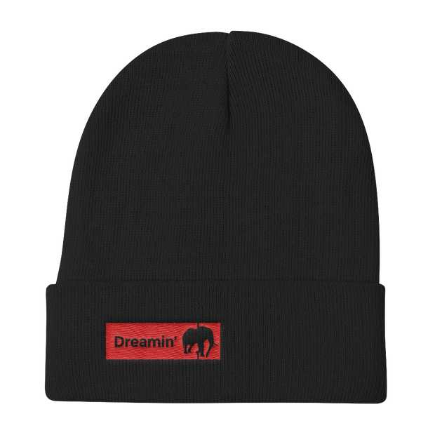 D' Long Knit Beanie
