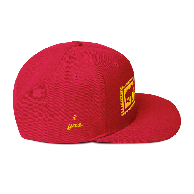 D' Logo Yllw/Red 3 yrs commemorative Cap