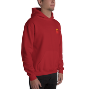 D' Gradient Hoodie