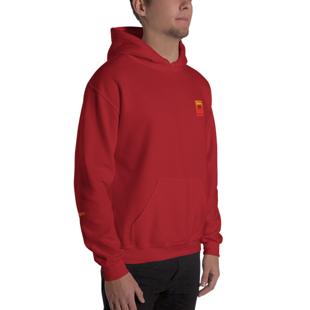 D' Gradient Hoodie