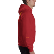 D' Gradient Hoodie